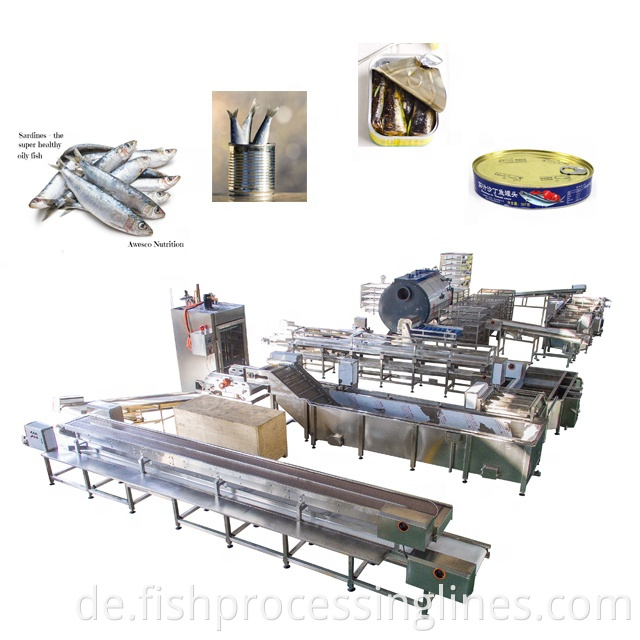 Gesamtqualität kontrollierter Sardine -Tools und -ausrüstung in Fischfabrikgeräten kontrollierter Sardine -Konservenprozess -Tools und -ausrüstung